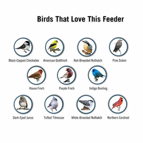 BirdHaven™ squirrel-proof bird feeder