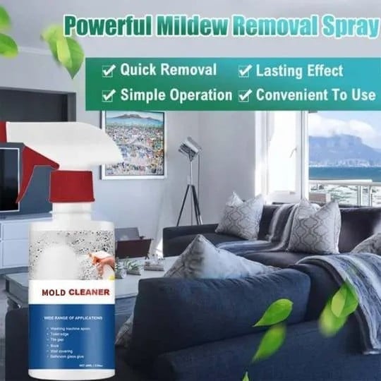 SteinpilzSchutz™ – Rimuovi muffa extra forte | Barriera sicura anti-muffa | 1+1 Gratis