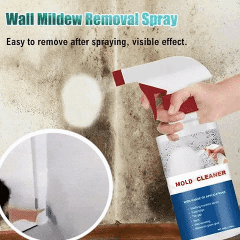 SteinpilzSchutz™ – Rimuovi muffa extra forte | Barriera sicura anti-muffa | 1+1 Gratis