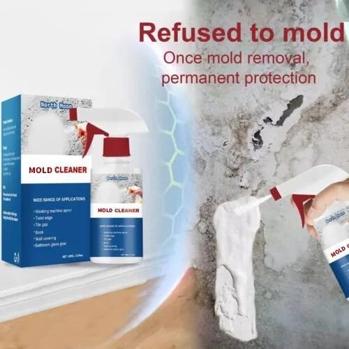 SteinpilzSchutz™ – Rimuovi muffa extra forte | Barriera sicura anti-muffa | 1+1 Gratis