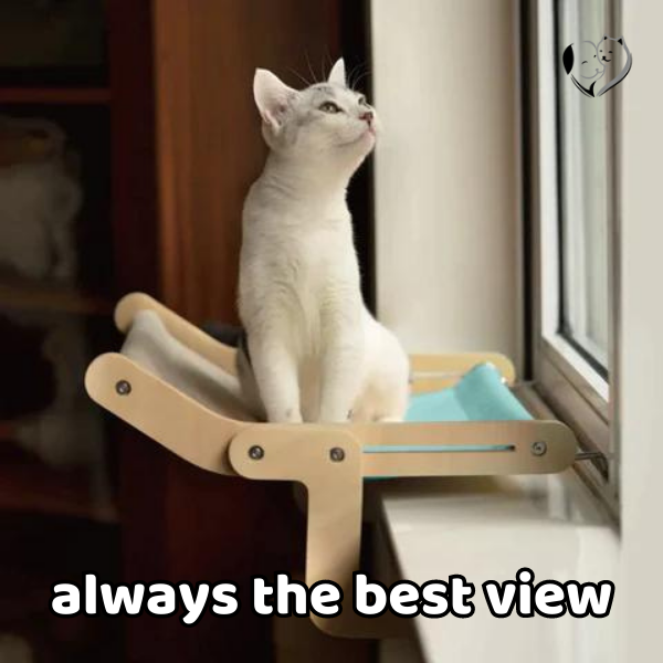 KatzenLounge™ Ultimativer KatzenKomfort