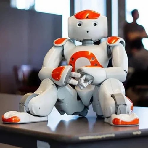 RoboLern™ Smart Children&