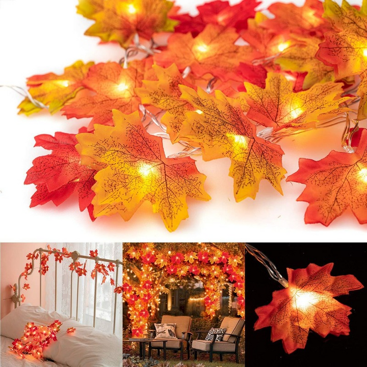 String lights - autumn decoration lights | 50% DISCOUNT