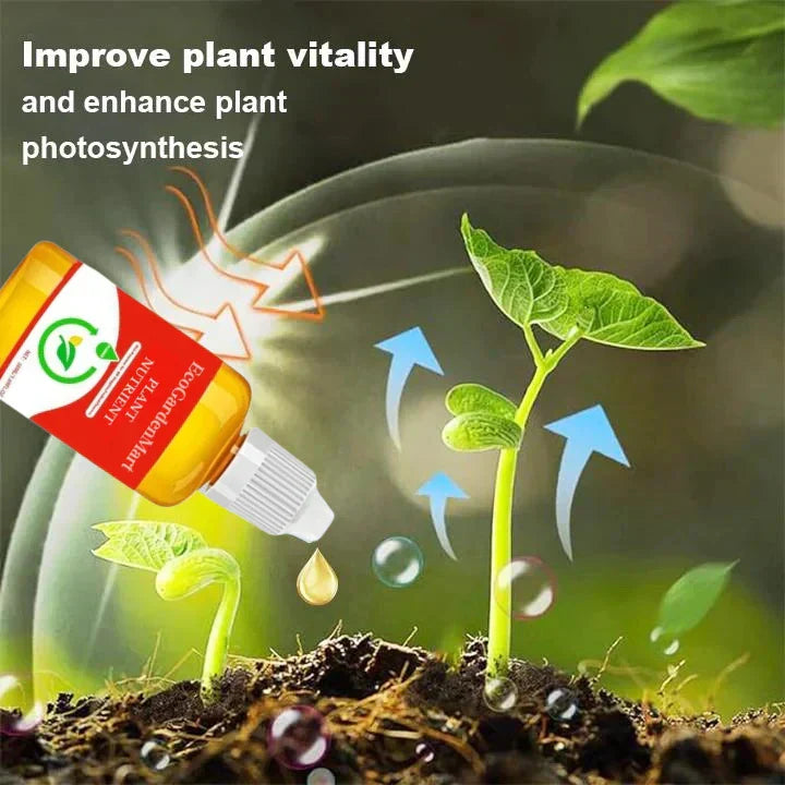 Natürlicher Pflanzen-Wachstumsbooster | Enzyme &amp; Pflanzenextrakte für Wurzeln &amp; Blattgrün | für Zimmerpflanzen, Gemüse &amp; Blumen