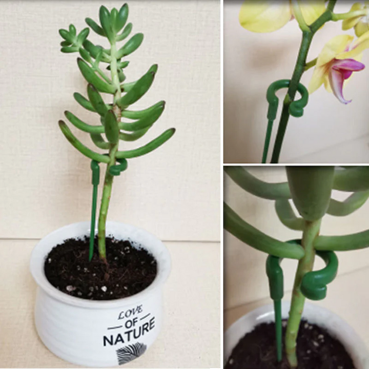 Plant Supports with Support Ring (Set of 10) | Straight Stems Without Bending | Discreet Green, Durable &amp; Reusable | 17–48 cm