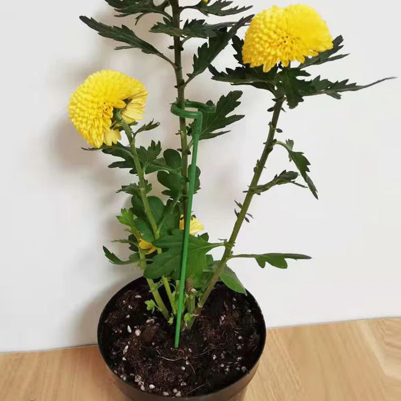 Plant Supports with Support Ring (Set of 10) | Straight Stems Without Bending | Discreet Green, Durable &amp; Reusable | 17–48 cm