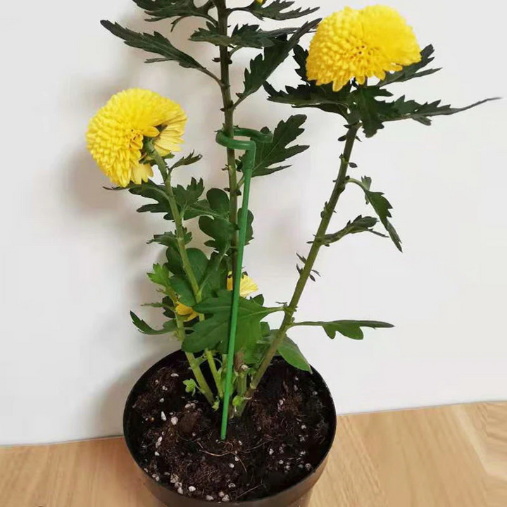 Plant Supports with Support Ring (Set of 10) | Straight Stems Without Bending | Discreet Green, Durable &amp; Reusable | 17–48 cm