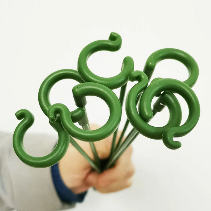 Plant Supports with Support Ring (Set of 10) | Straight Stems Without Bending | Discreet Green, Durable &amp; Reusable | 17–48 cm