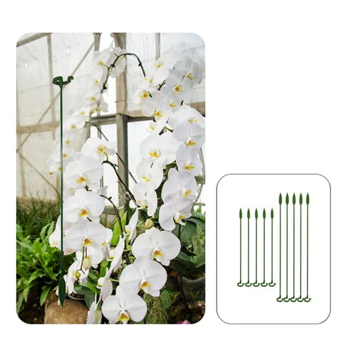 Plant Supports with Support Ring (Set of 10) | Straight Stems Without Bending | Discreet Green, Durable &amp; Reusable | 17–48 cm