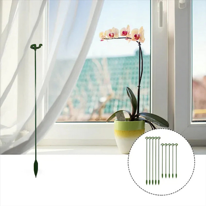 Plant Supports with Support Ring (Set of 10) | Straight Stems Without Bending | Discreet Green, Durable &amp; Reusable | 17–48 cm