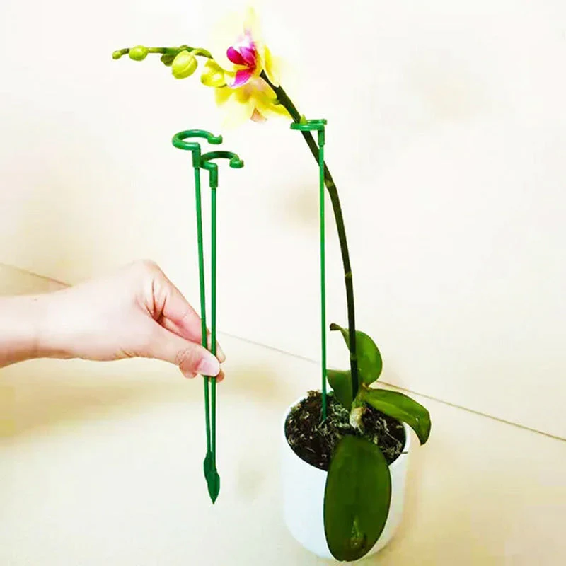 Plant Supports with Support Ring (Set of 10) | Straight Stems Without Bending | Discreet Green, Durable &amp; Reusable | 17–48 cm