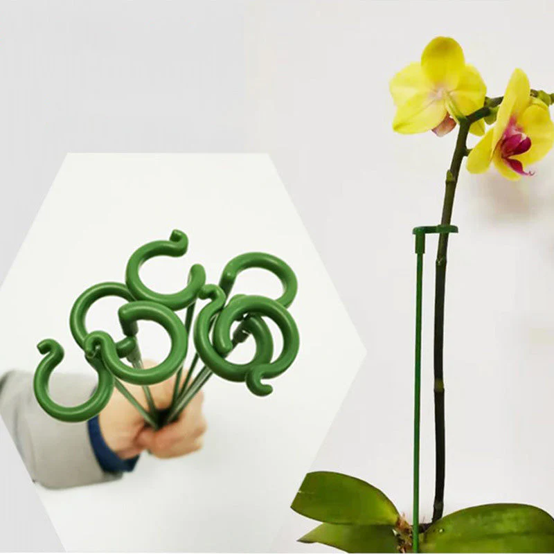 Plant Supports with Support Ring (Set of 10) | Straight Stems Without Bending | Discreet Green, Durable &amp; Reusable | 17–48 cm