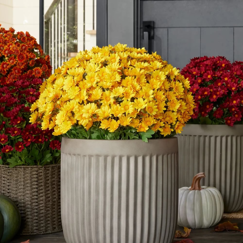 Künstliche Chrysanthemen | UV-beständig | Herbst-Deko für draußen | Naturgetreues Seidenmischgewebe