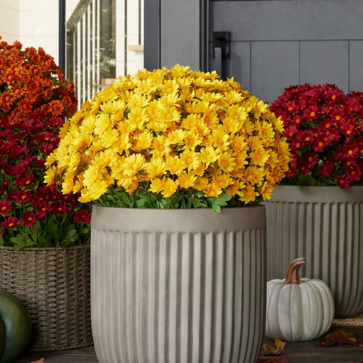 Künstliche Chrysanthemen | UV-beständig | Herbst-Deko für draußen | Naturgetreues Seidenmischgewebe