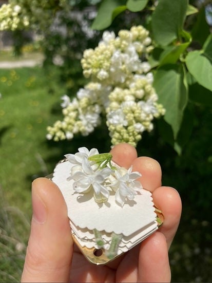 Mikro-Blumenpresse | Handgefertigt aus Silber &amp; Messing | Inkl. 10 Blätter Herbarium-Papier
