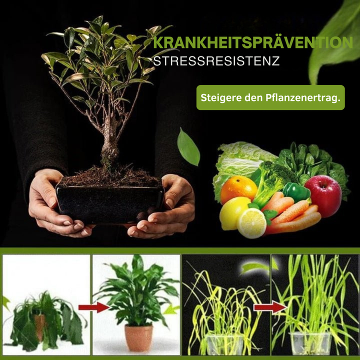 Bodenaktivator für Gartenerde 100 g | Mineralischer Bodenverbesserer zum Anmischen | Für Blumen, Gemüse &amp; Sukkulenten (2+1 Set)