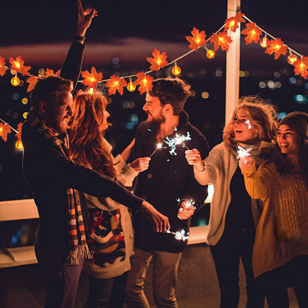 String lights - autumn decoration lights | 50% DISCOUNT