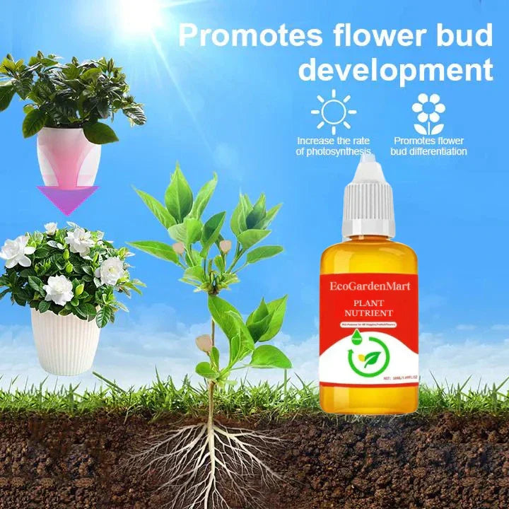Natürlicher Pflanzen-Wachstumsbooster | Enzyme &amp; Pflanzenextrakte für Wurzeln &amp; Blattgrün | für Zimmerpflanzen, Gemüse &amp; Blumen