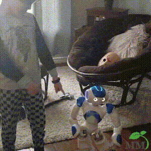RoboLern™ Smart Children&
