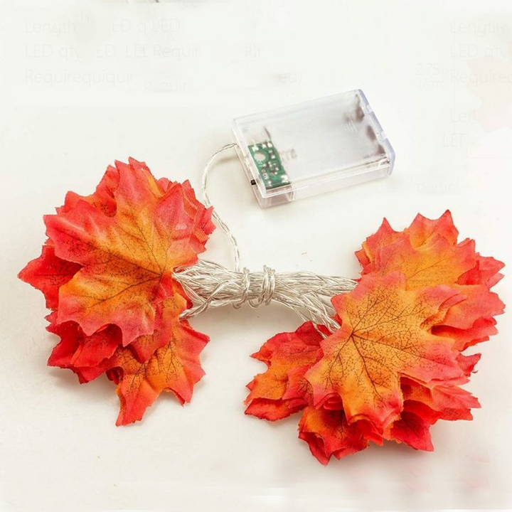 String lights - autumn decoration lights | 50% DISCOUNT