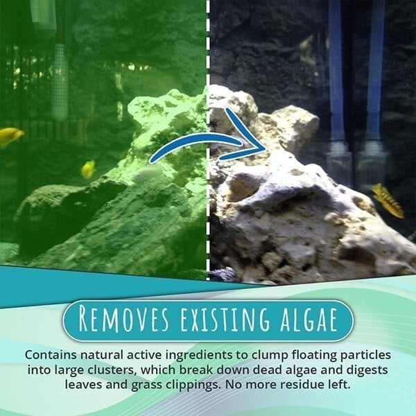 Pond Algae Treatment 50 g | Clears green water &amp; binds suspended solids | Suitable for pond fish &amp; plants, dosage 1–2 g/100 L