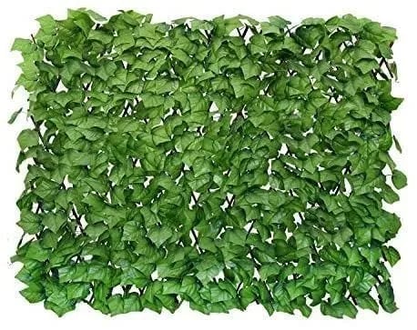 GrünSchleier™ Välitön runsas näkösuoja