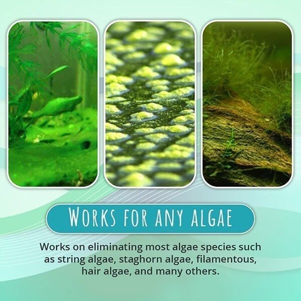 Pond Algae Treatment 50 g | Clears green water &amp; binds suspended solids | Suitable for pond fish &amp; plants, dosage 1–2 g/100 L