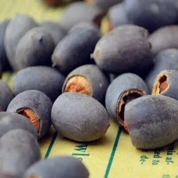 Lootuksen siemenet | 10 kappaletta | värikkäät vesikasvit lammikkoon &amp; bonsaikulhoon | monivuotinen
