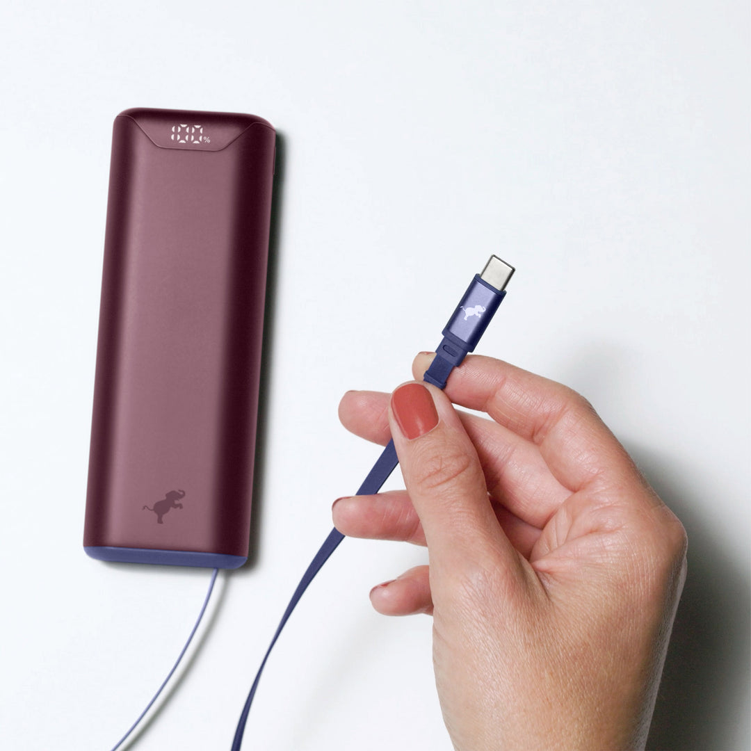 Powerbank 10.000 mAh | Kompakte USB-C-Powerbank mit integriertem, einziehbarem Ladekabel