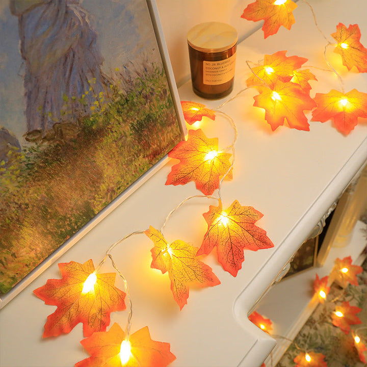 String lights - autumn decoration lights | 50% DISCOUNT
