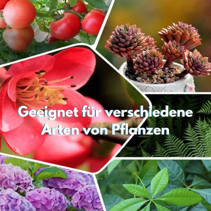 Kasvien lannoitetabletit pitkävaikutteisia | NPK-ravinteet + hivenaineet | Sisä- ja ulkokäyttöön, 22 tablettia (100 g) | 1+1 ilmaiseksi