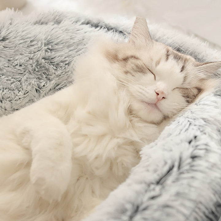 KittyLounge™ Relaxing cat bed