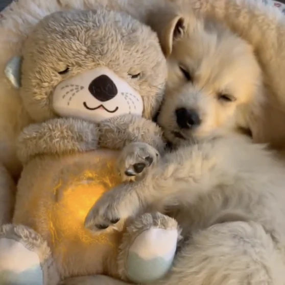 Peluche calmante per bambini 30 cm | Movimento respiratorio, luce soffusa e suoni | Timer fino a 30 min, volume | Lavabile