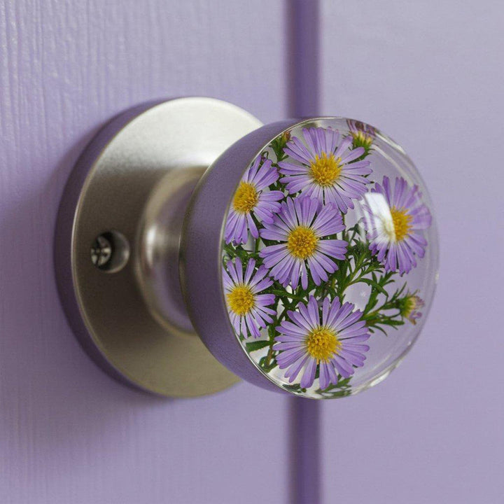 TürPop™ Creative Door Upgrade