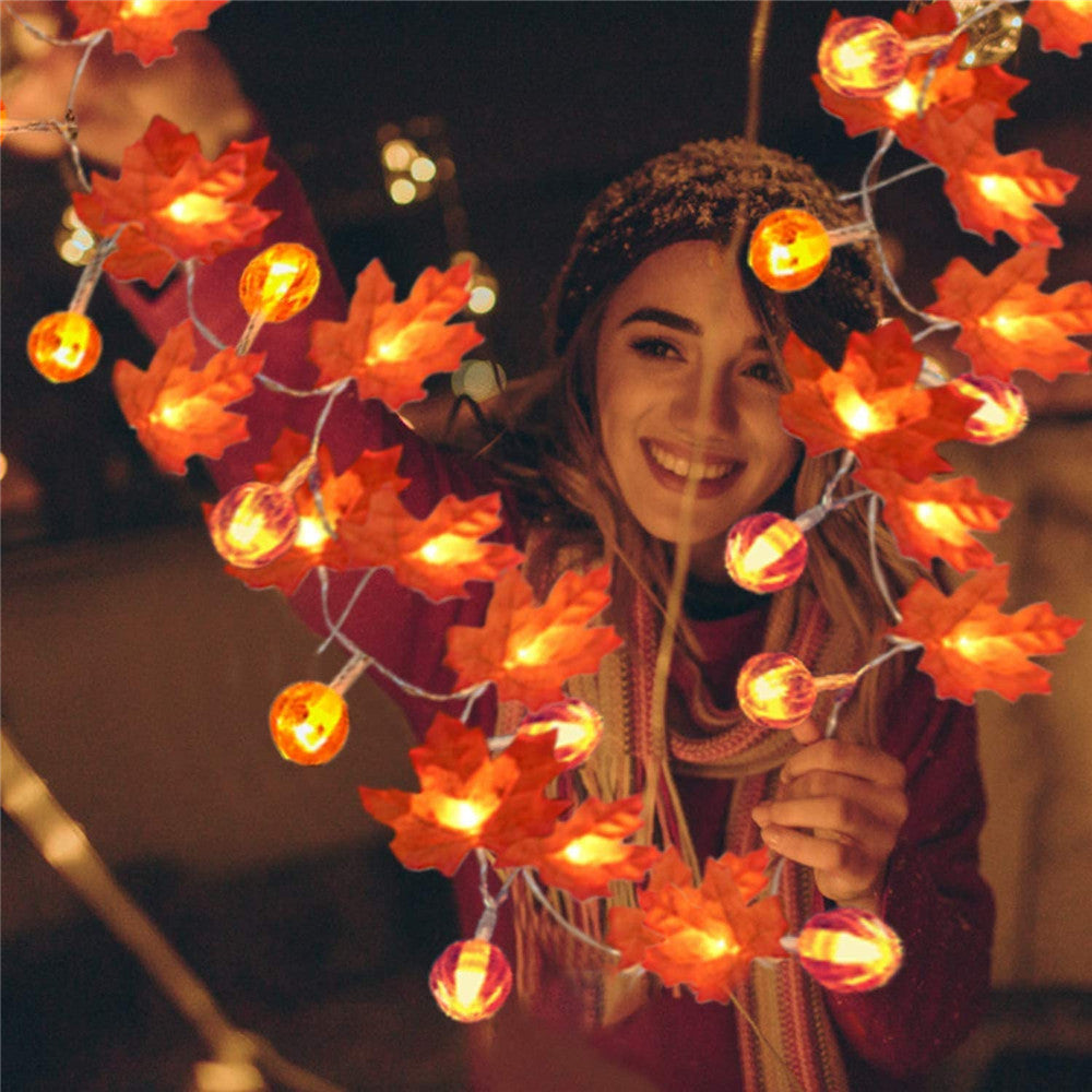 String lights - autumn decoration lights | 50% DISCOUNT