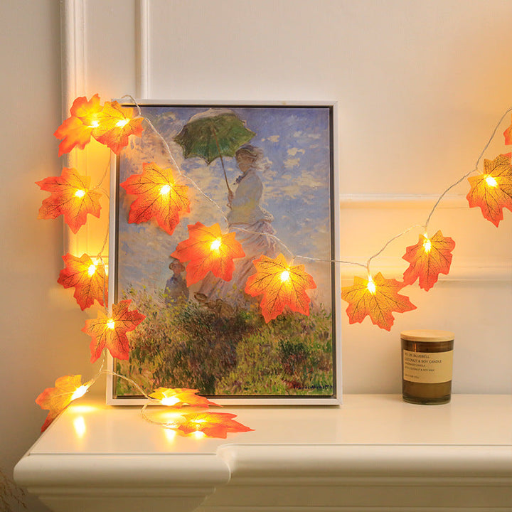 String lights - autumn decoration lights | 50% DISCOUNT