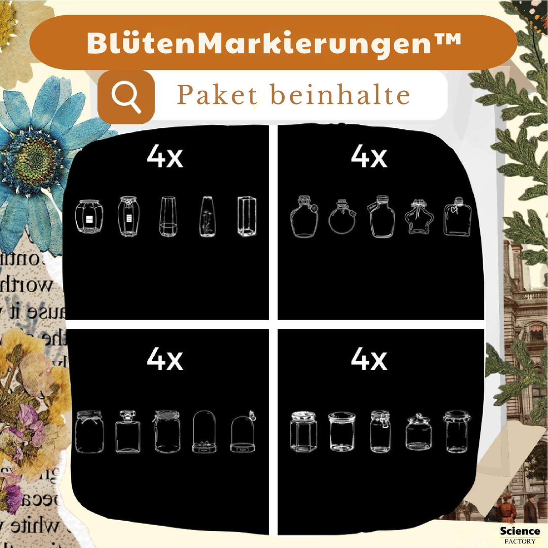 DIY Transparente Lesezeichen-Aufkleber Set (80 Teile) | Für getrocknete Blumen &amp; Fotos | 30×88 mm | Geschenk, Scrapbooking &amp; Deko