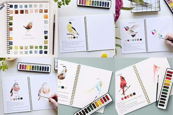 Aquarell-Arbeitsbuch für Anfänger | Malbuch mit 12 Motiven, Schritt-für-Schritt-Anleitungen und hochwertigem Aquarellpapier