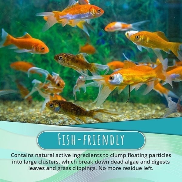Pond Algae Treatment 50 g | Clears green water &amp; binds suspended solids | Suitable for pond fish &amp; plants, dosage 1–2 g/100 L