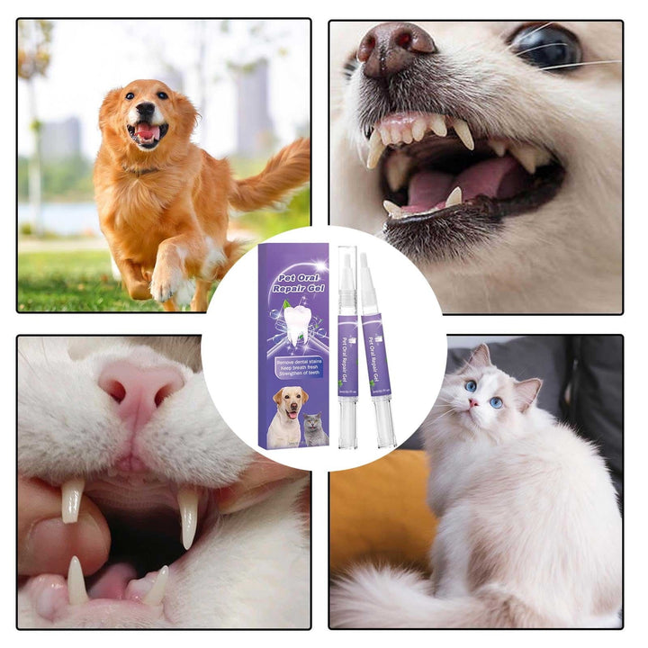 Zahnpflege-Gel für Hunde &amp; Katzen | sanfte Plaque-Reinigung &amp; frischer Atem | gegen Zahnstein, schonend fürs Zahnfleisch