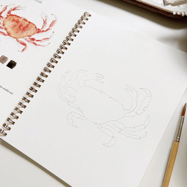 Aquarell-Arbeitsbuch für Anfänger | Malbuch mit 12 Motiven, Schritt-für-Schritt-Anleitungen und hochwertigem Aquarellpapier