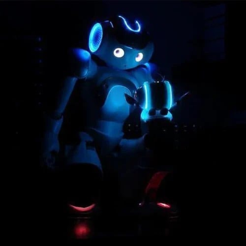 RoboLern™ Smart Children&