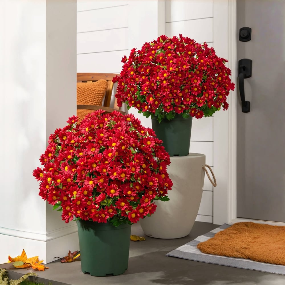 Künstliche Chrysanthemen | UV-beständig | Herbst-Deko für draußen | Naturgetreues Seidenmischgewebe