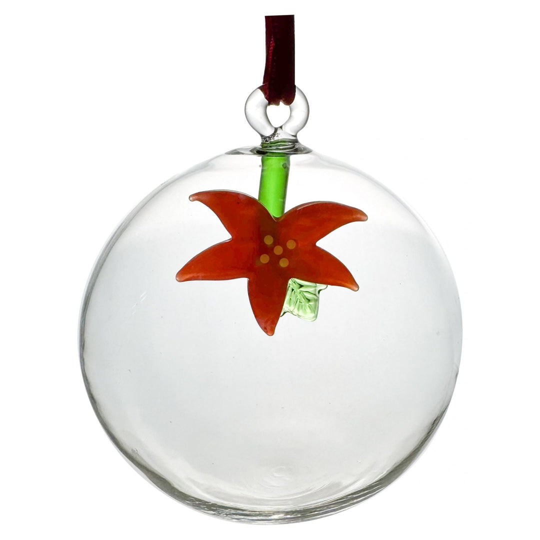 Weihnachtskugel aus Glas 8 cm | Paul Nagel Christbaumkugel mit handgefertigtem Weihnachtsstern aus Farbglas | In Geschenkbox