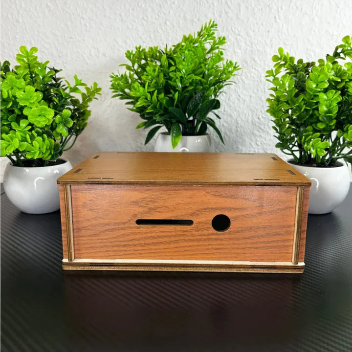 GeldTruhe™ Wooden Piggy Bank