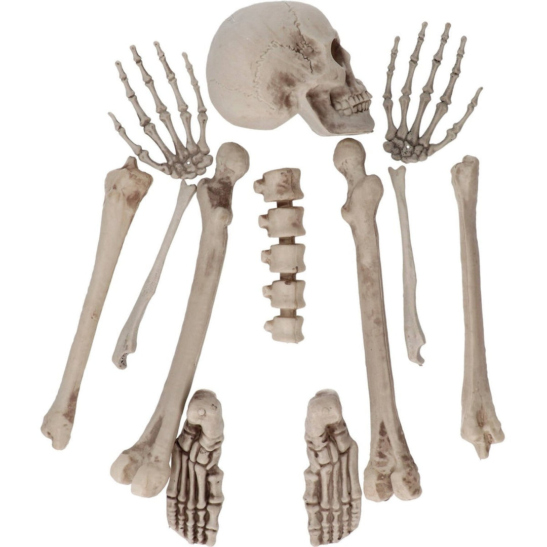 Halloween Skelett Deko 12-teilig | Lose Skelettteile aus Kunststoff mit Schädel und Knochen für Halloween-Partys
