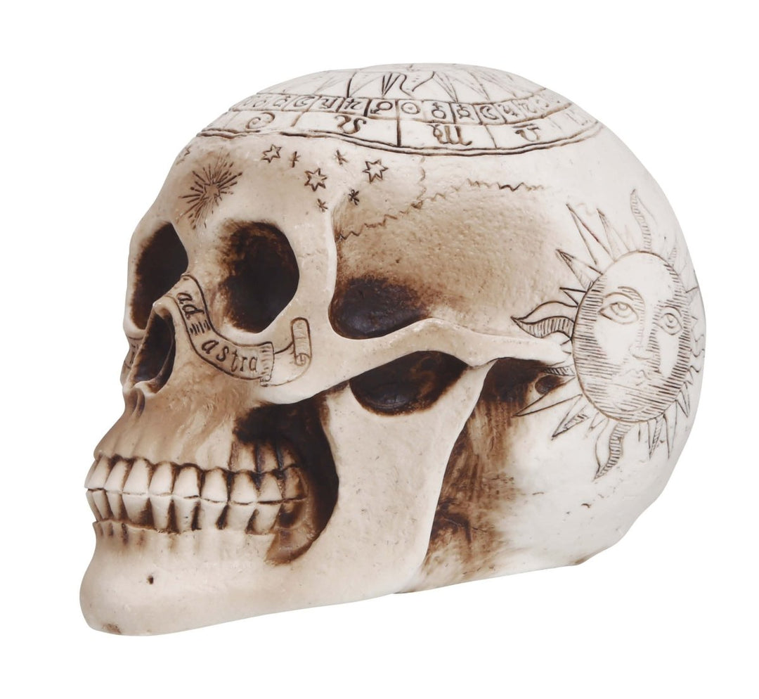 Halloween Totenkopf Deko 20 cm | Gruseliger PVC-Schädel als Tischdekoration für Halloween- und Mottopartys