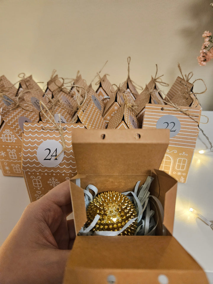 Adventskalender mit 24 Überraschungen | Skillsflow Adventskalender mit Fidget Spielzeug, Entspannungsartikeln und Zubehör
